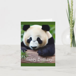 Happy Birthday Cute Panda Beer Kaart