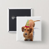 Happy Birthday Dachshund Button (Voorkant /achterkant)