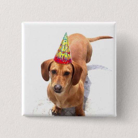 Happy Birthday Dachshund Button (Voorkant)