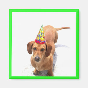 Happy Birthday Dachshund Magnet Magneet