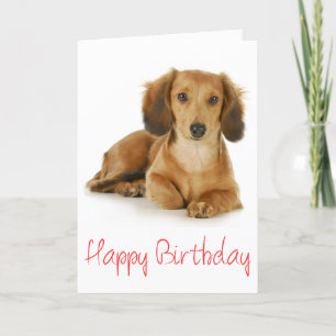 Happy Birthday Dachshund Puppy Dog Card Kaart