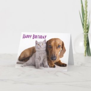Happy Birthday Dachshund Puppy Dog Card Kaart