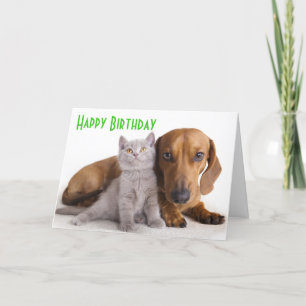 Happy Birthday Dachshund Puppy Dog Card Kaart