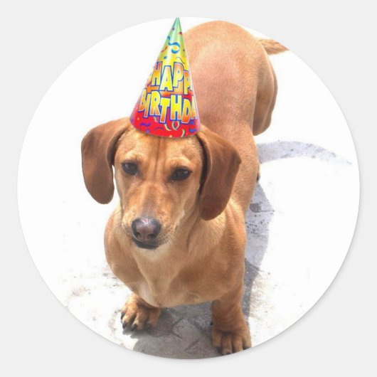 Happy Birthday Dachshund stickers (Voorkant)