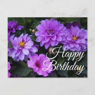 Happy Birthday Dahlia Lila en Petunia Briefkaart