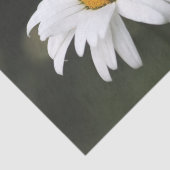 Happy Birthday Daisy Tissue Tissuepapier (Detail)