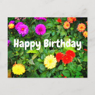 Happy Birthday Diverse Dahlias #1 Briefkaart