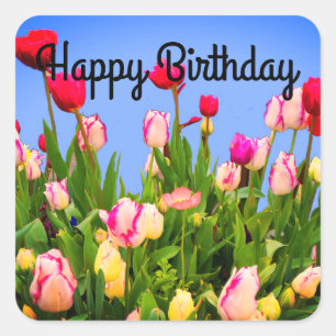 Happy Birthday Diverse Tulips #3 Stickers