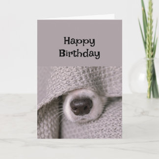 Happy Birthday Dog onder deken van Bed Kaart