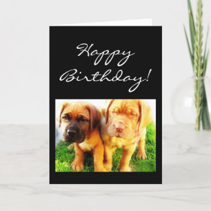 Happy Birthday Dogue de Bordeaux wenskaart Kaart