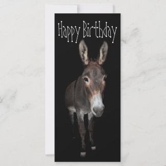 Happy Birthday Donkey Kaart