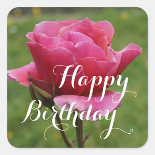Happy Birthday Duet Roos #1 Stickers