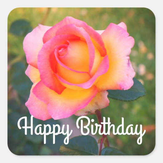 Happy Birthday Elle Roos #2 Stickers (Voorkant)