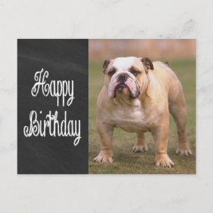 Happy Birthday Engelse Bulldog Chalkboard Briefkaa Briefkaart