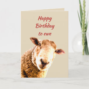 Happy Birthday Ewe Funny Sheep Animal Humor Kaart