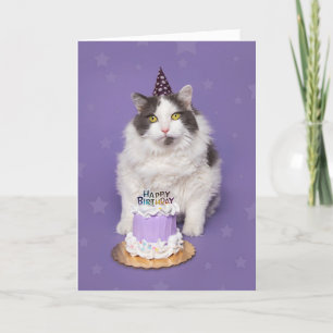 Happy Birthday Fat Cat met taart Humor Feestdagen Kaart