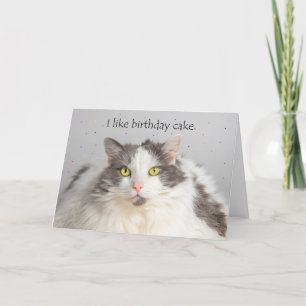 Happy Birthday Fat Cat NetBirthday Cake Feestdagen Kaart