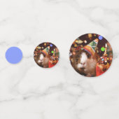 Happy Birthday - Feestdier cavia Confetti (Voorkanten)