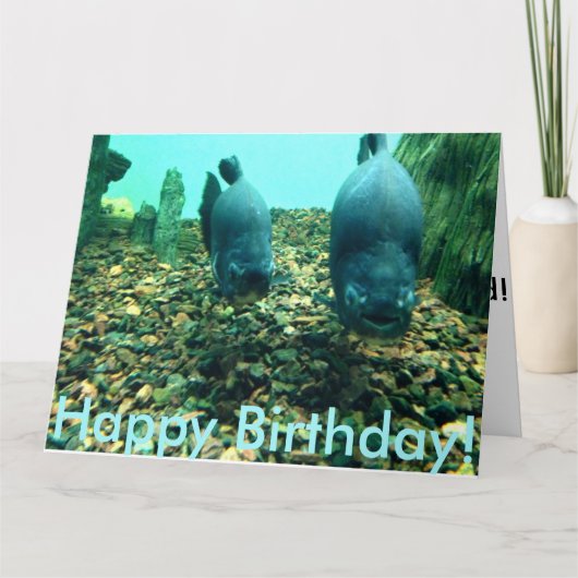 Happy Birthday Fish Kaart (Voorkant)