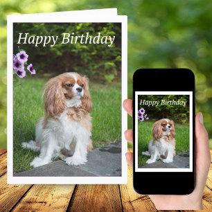 Happy Birthday Flowers Cavalier King Spaniel Kaart