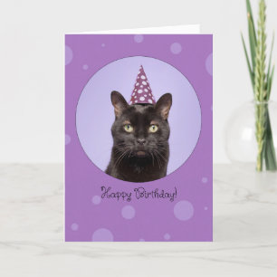 Happy Birthday For Anyone Funny Cat in Party Hat Feestdagen Kaart
