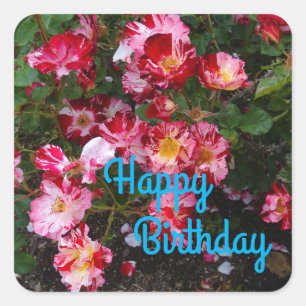 Happy Birthday Fourth of Juli Roos #1 Stickers