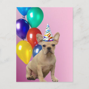 Happy Birthday Franse Bulldog briefkaart