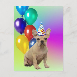 Happy Birthday Franse Bulldog briefkaart