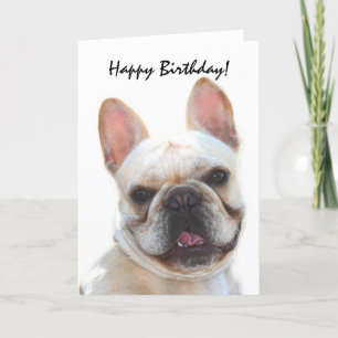 Happy Birthday Franse Bulldog wenskaart Kaart