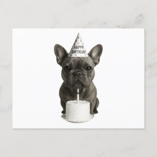Happy Birthday French Bulldog Feestdagenkaart
