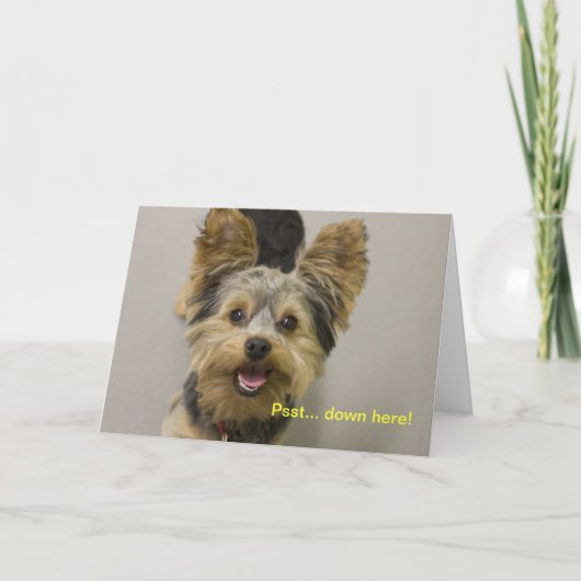 Happy Birthday from the little one. Kaart (Voorkant)