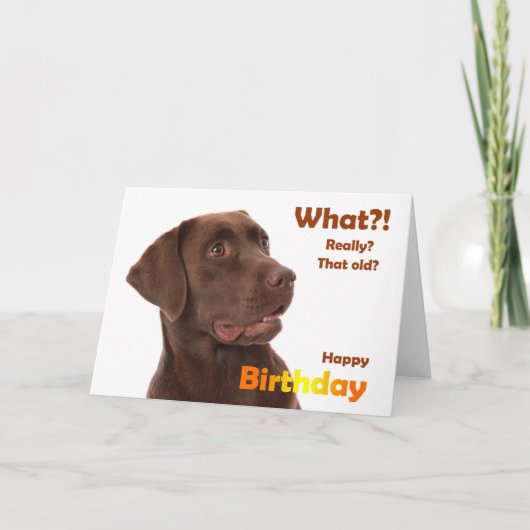 Happy Birthday fun card with Labrador dog Kaart (Voorkant)