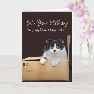 Happy Birthday Funny Cat  Kaart