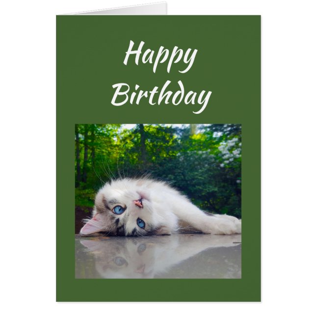 Happy Birthday Funny Cat Persective Humor (Voorkant)