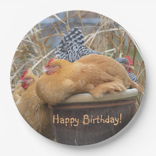 Happy Birthday Funny Chickens Papieren Bordje