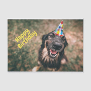 Happy Birthday Funny Dog in Party Pet Tissuepapier