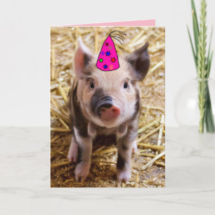 HAPPY BIRTHDAY FUNNY PIG PIGLET WENSKAARTEN FEESTDAGEN KAART