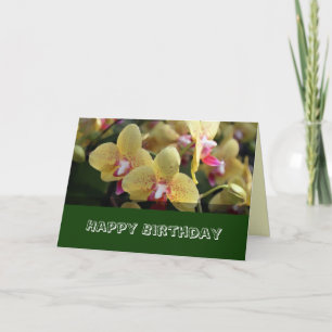 Happy Birthday, gele orchidee bloemen Kaart