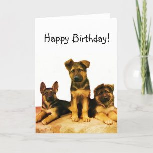 Happy Birthday German Shepherd puppies card Kaart
