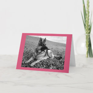 Happy Birthday German Shepherd Puppy Dog Card Kaart