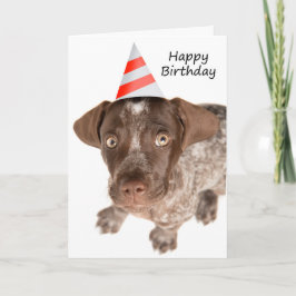 Happy Birthday German Shorthaired Pointer Puppy Feestdagen Kaart