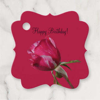 Happy Birthday Gift Favor Hangende Labels