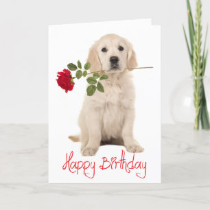 Happy Birthday Golden Retriever Puppy Dog Kaart