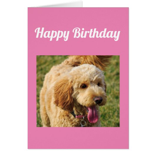 Happy Birthday Goldendoodle Dog Card (Voorkant)