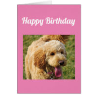 Happy Birthday Goldenoodle Dog Card