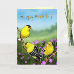 Happy Birthday Goldfinches  kaart