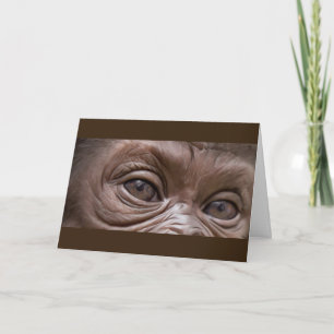 Happy Birthday Gorilla Kaart