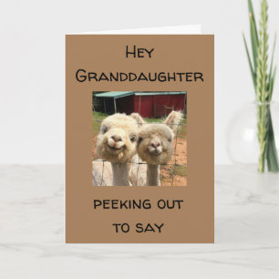 HAPPY * BIRTHDAY * * GRANDDAUGHTER * * KAART