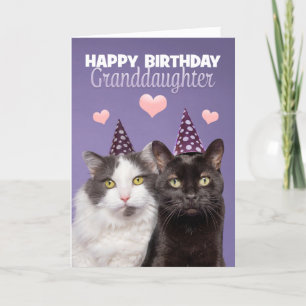 Happy Birthday Granddochter Two Cute Cats in Pet Feestdagen Kaart