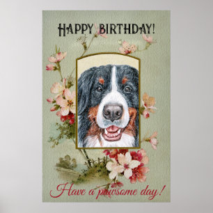 Happy Birthday Greetings Bernese Mountain Dog Poster